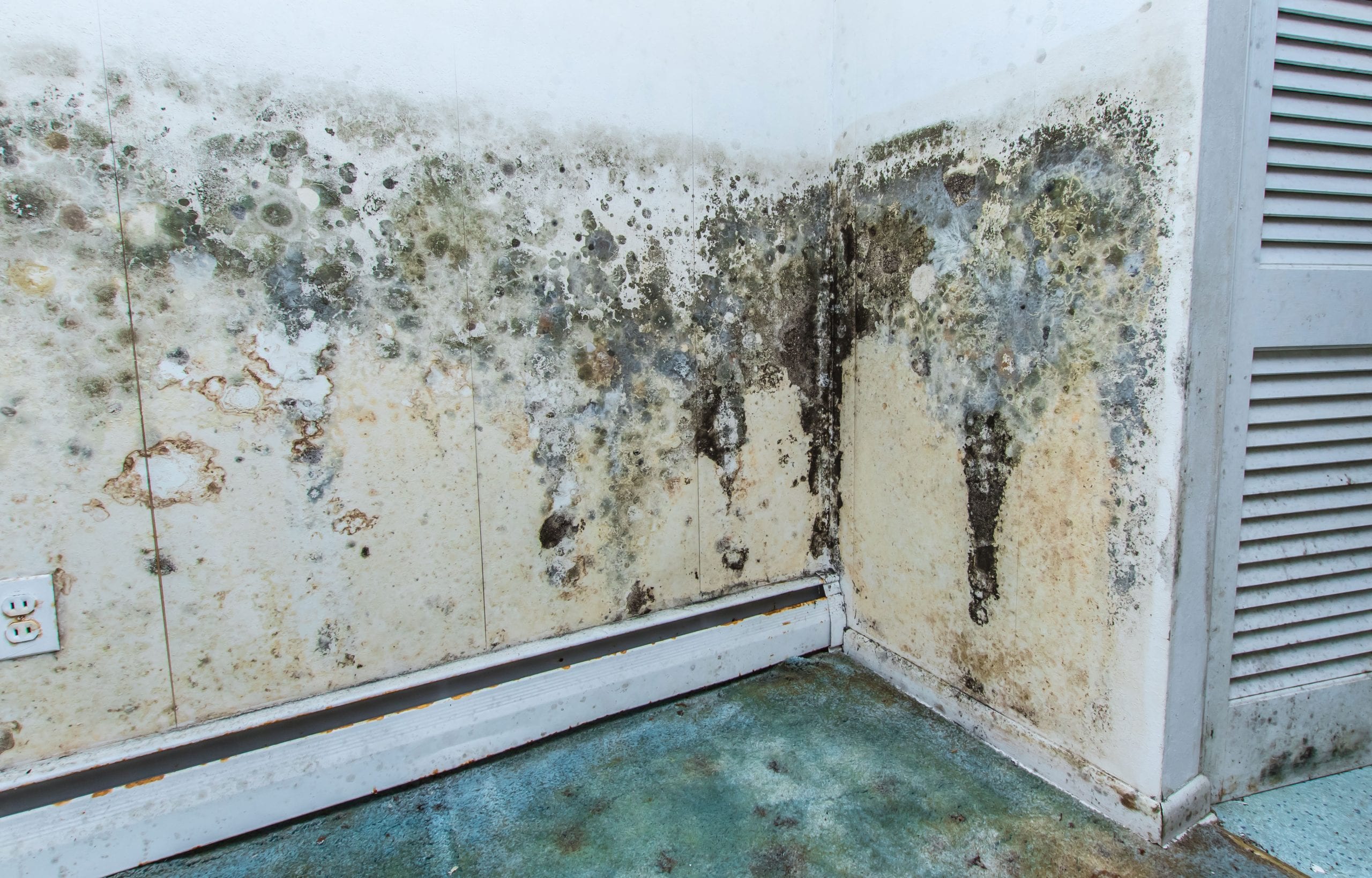 Mold Damage Odor Control Services in Manitowoc
